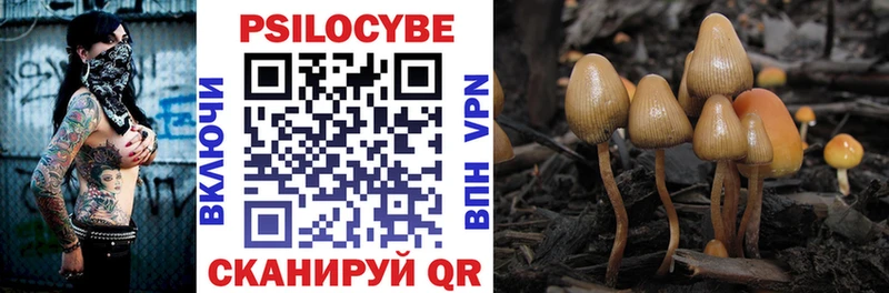 купить наркотики сайты  Ленск  Псилоцибиновые грибы Psilocybe 